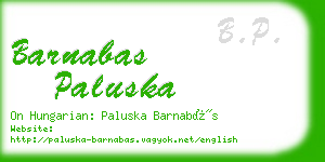 barnabas paluska business card